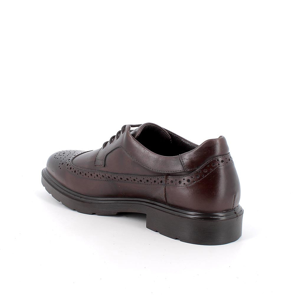 Igi&Co 8600311 Stringate da uomo marrone con lacci