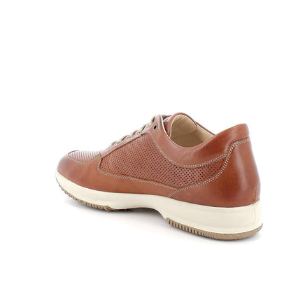 Igi&Co 5626711 sneakers in pelle da uomo cognac