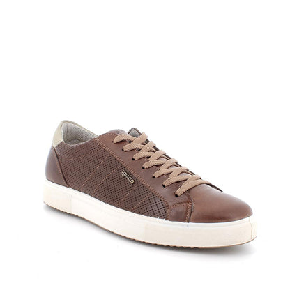 Igi&Co 5630333 sneakers in pelle da uomo fango