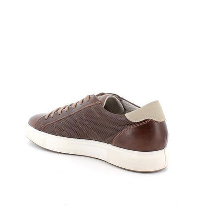 Igi&Co 5630333 sneakers in pelle da uomo fango