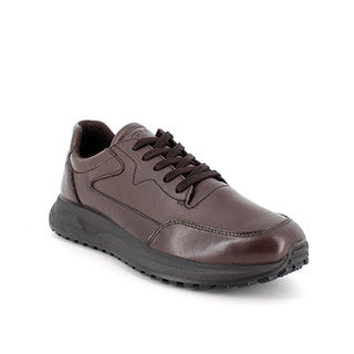 Igi&Co 6638811 Sneakers in pelle da uomo marrone scuro