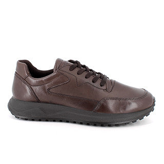 Igi&Co 6638811 Sneakers in pelle da uomo marrone scuro