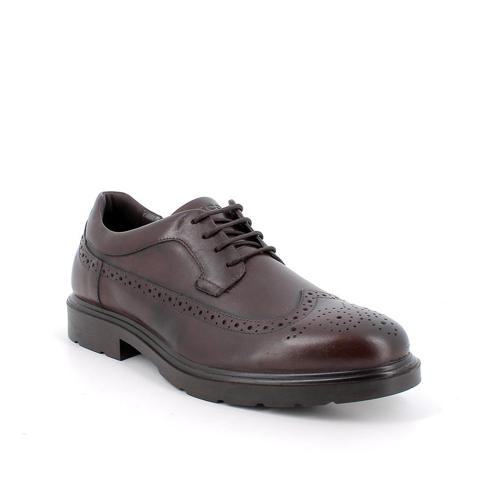 Igi&Co 8600311 Stringate da uomo marrone con lacci