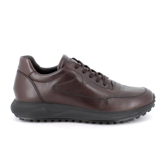 Igi&Co 8638811 Sneakers da uomo marrone con lacci