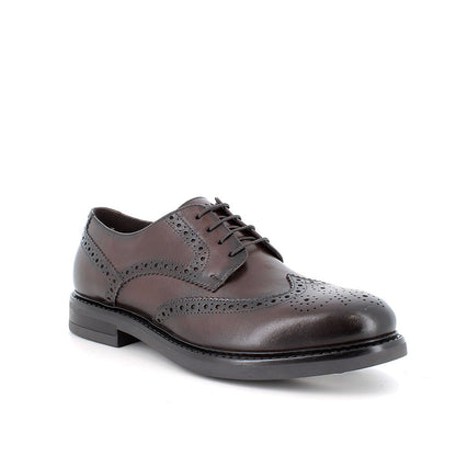 Igi&Co 2101111 Stringate da uomo marrone con lacci