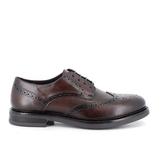 Igi&Co 2101111 Stringate da uomo marrone con lacci
