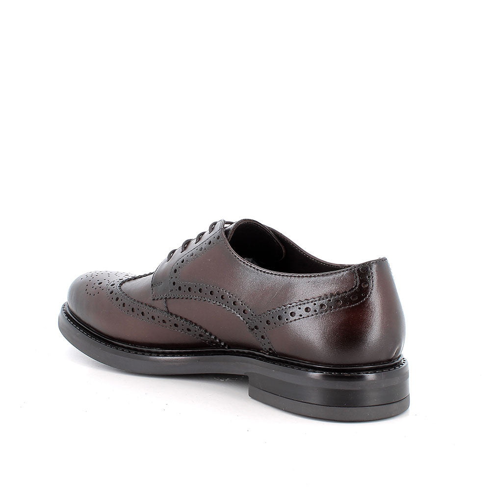 Igi&Co 2101111 Stringate da uomo marrone con lacci