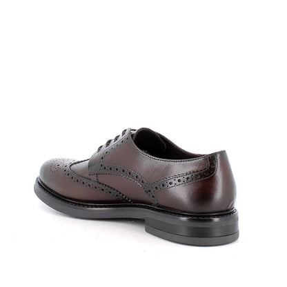 Igi&Co 2101111 Stringate da uomo marrone con lacci