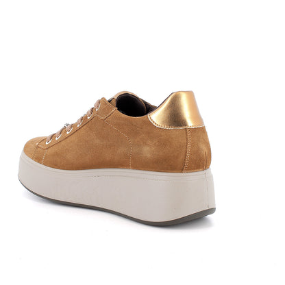 Igi&Co 2170544 Sneakers con zeppa da donna marrone con lacci