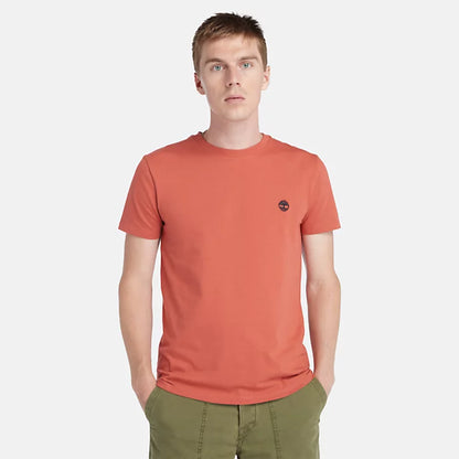 Timberland A2BPR t-shirt dunstan river da uomo