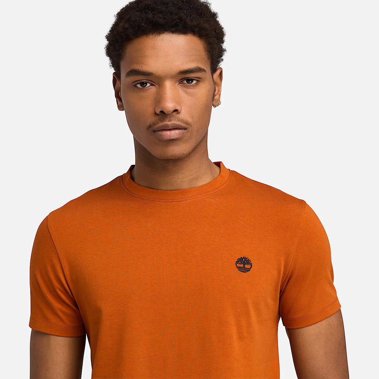 Timberland A2BPR T-shirt Dunstan River da Uomo