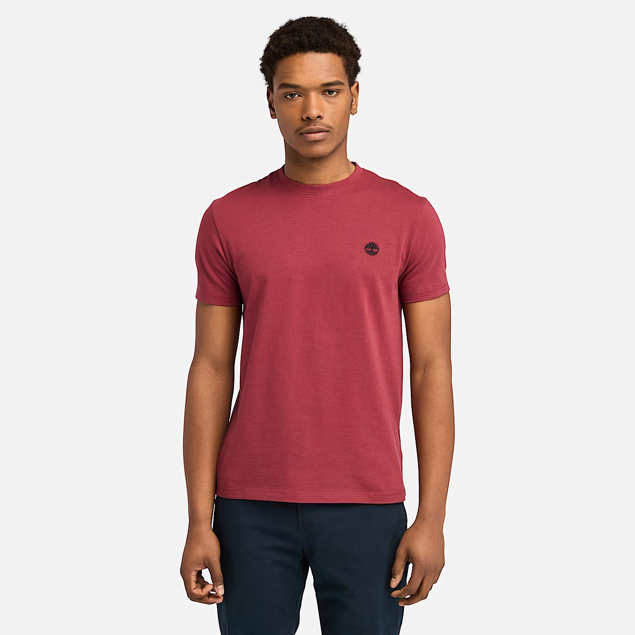 Timberland A2BPR T-shirt Dunstan River da Uomo