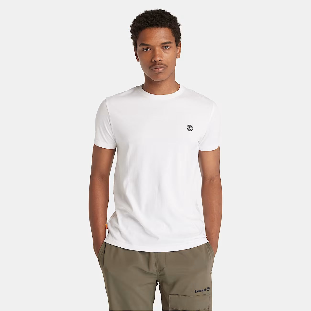 Timberland A2BPR T-shirt Dunstan River da Uomo