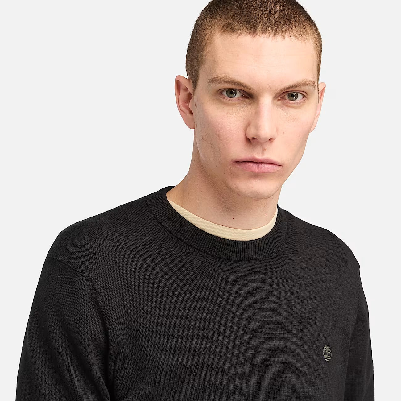 Timberland A2BMM Maglione in Cotone Williams River da Uomo